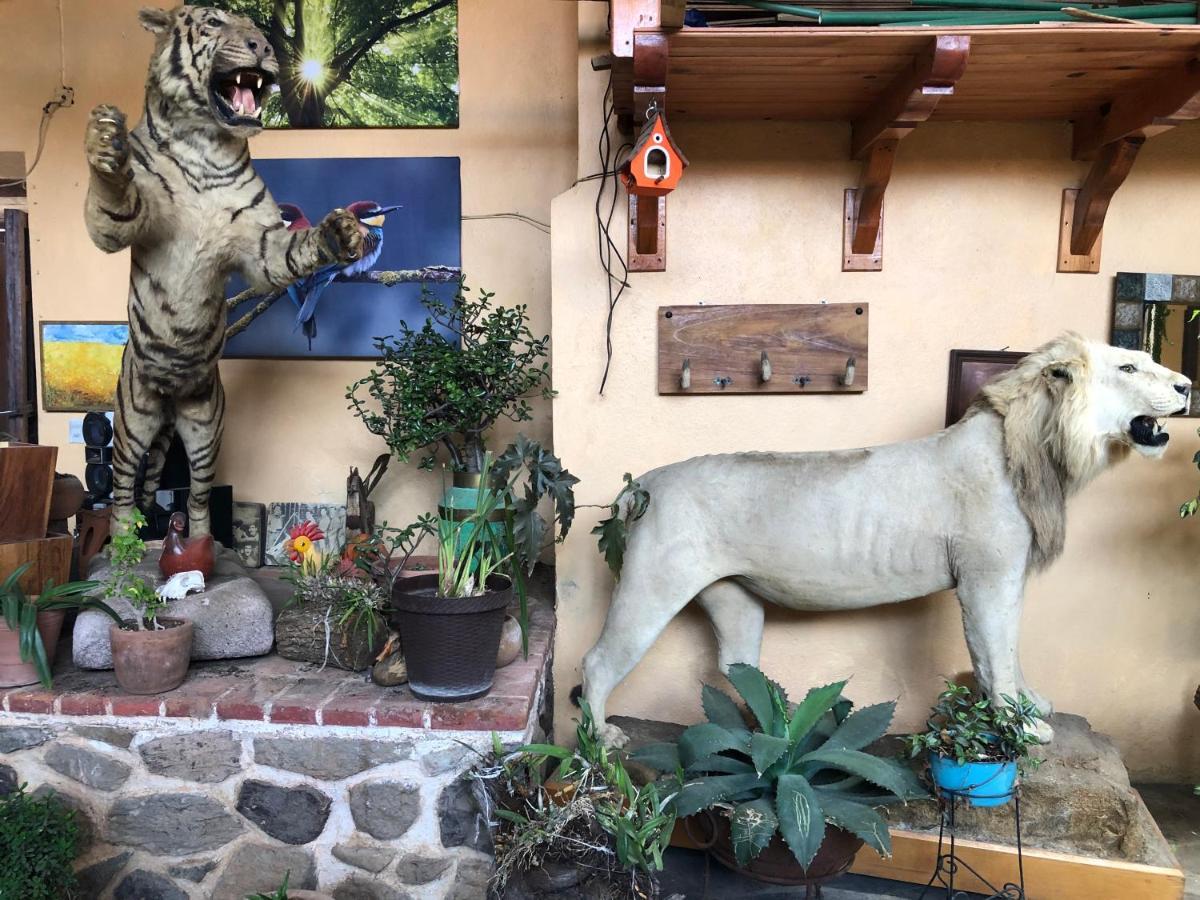 Hotel Quinta Angelica Mazamitla Bagian luar foto